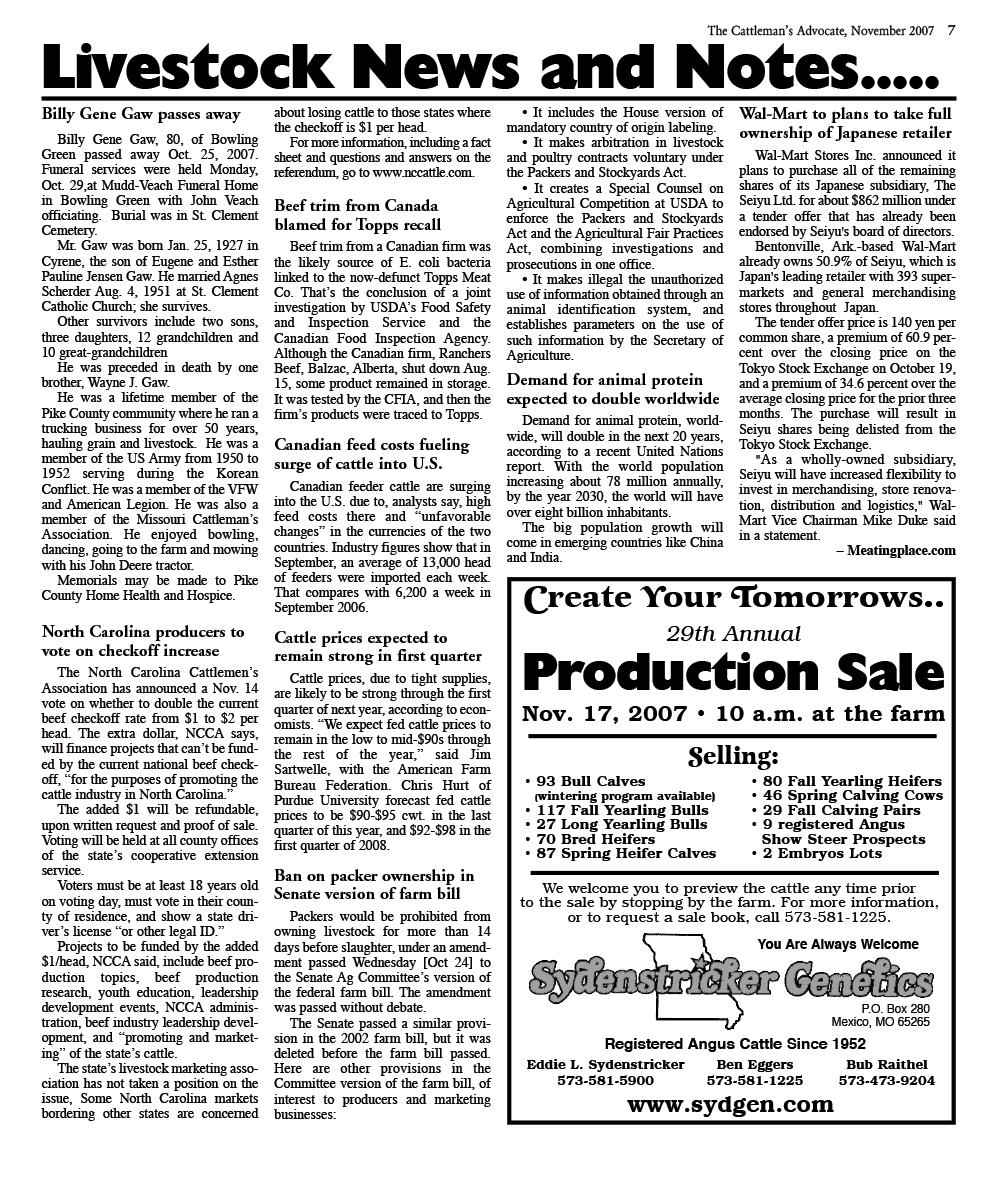 Page 7
