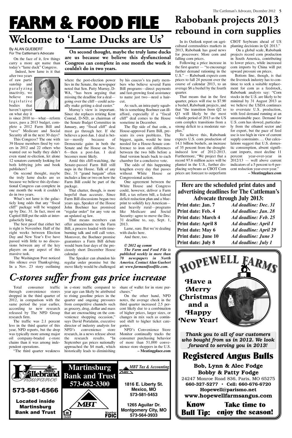 Page 5