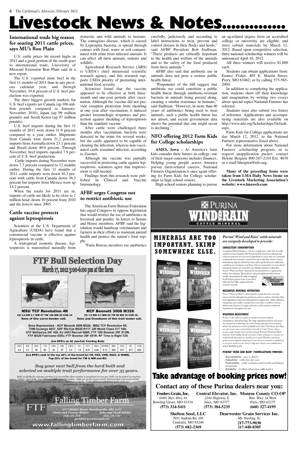Page 6