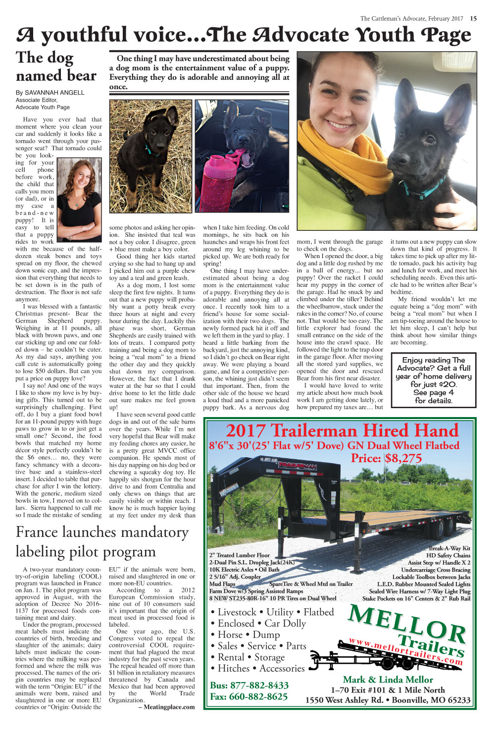 Page 15