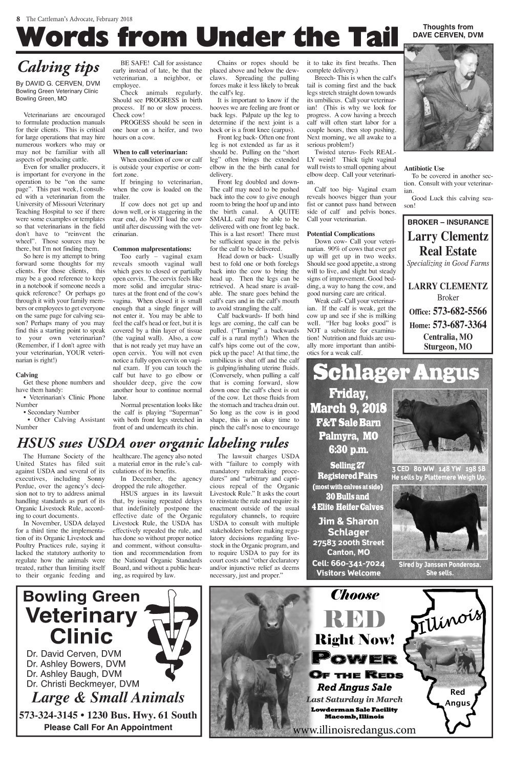 Page 8
