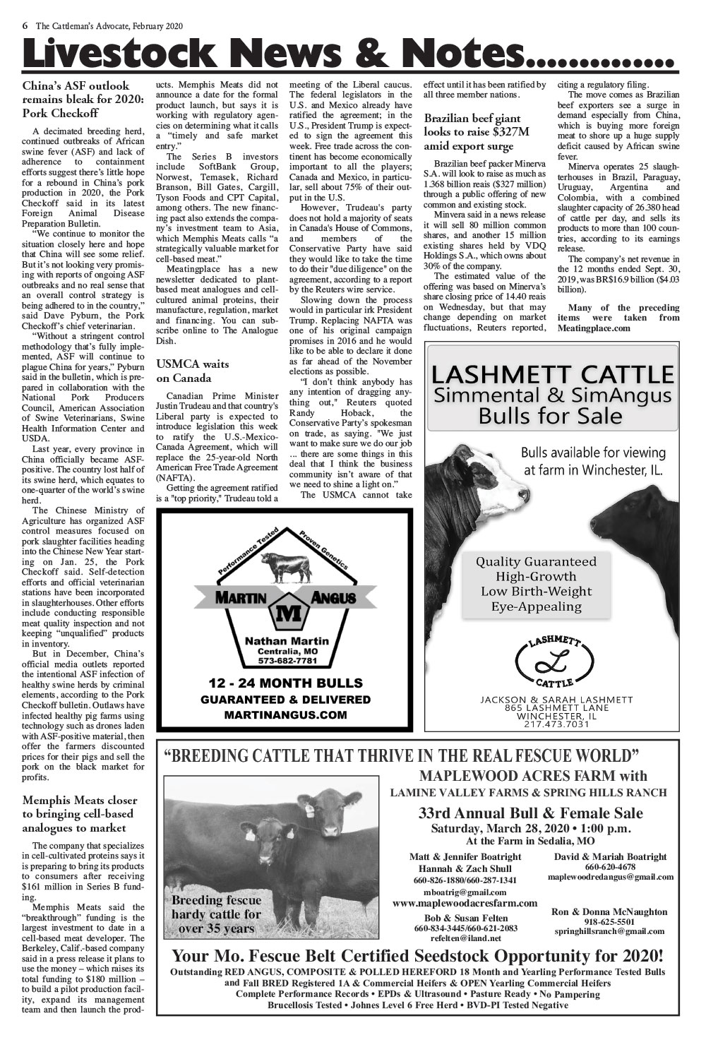 Page 6