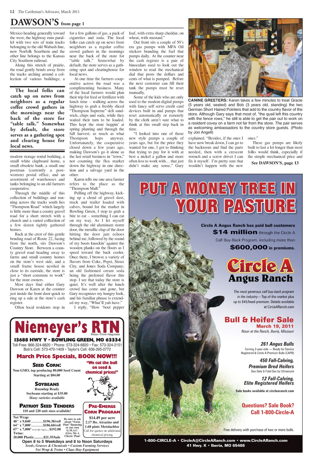 Page 12