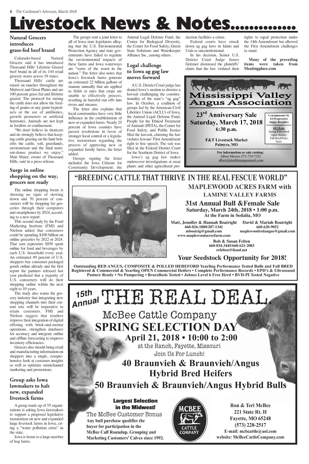 Page 6
