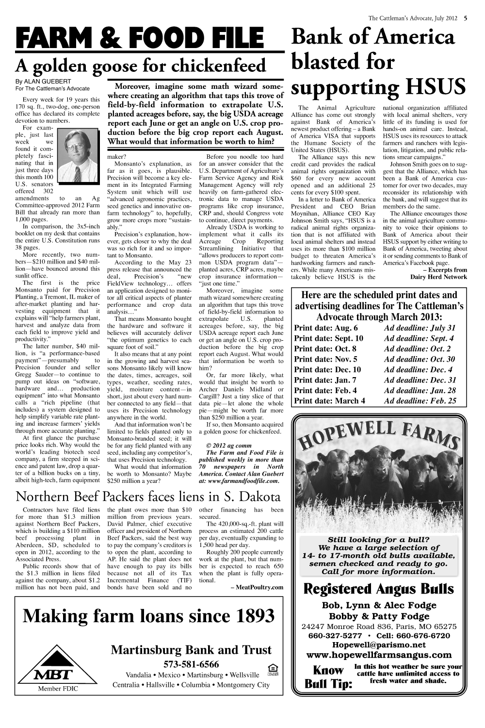 Page 5