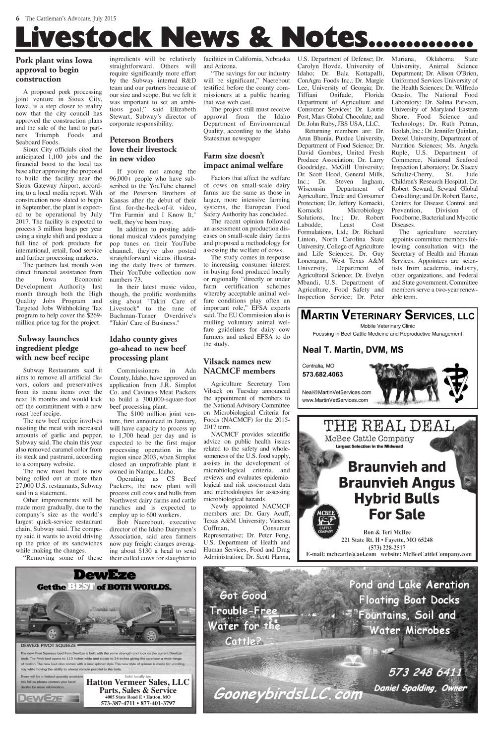 Page 6