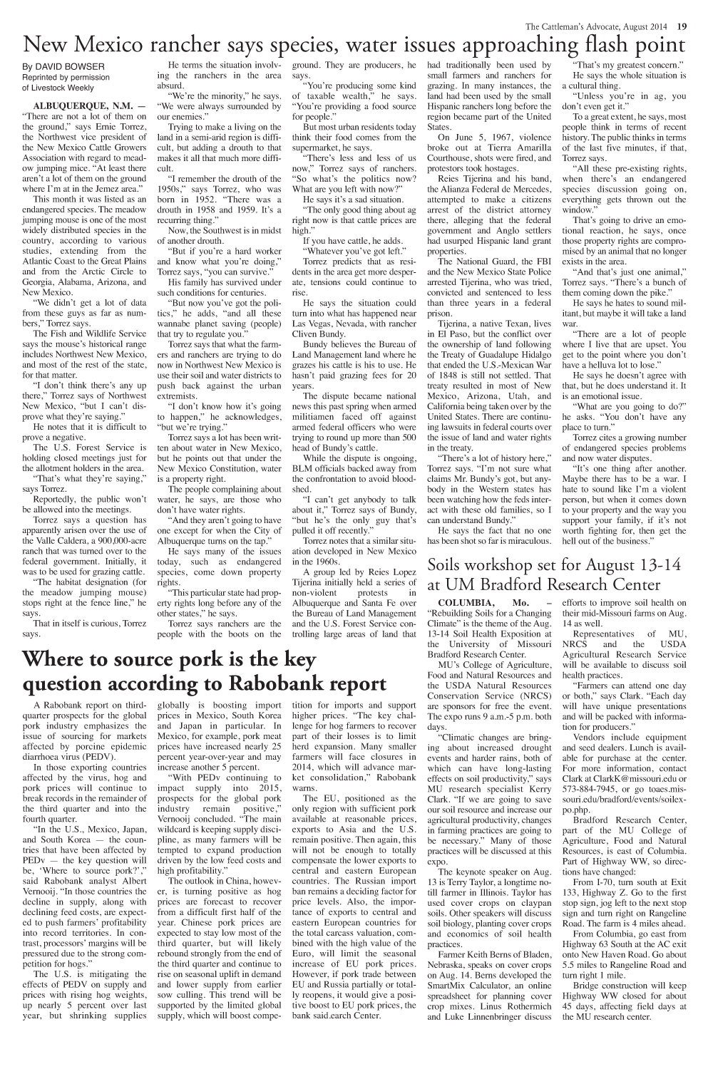 Page 19