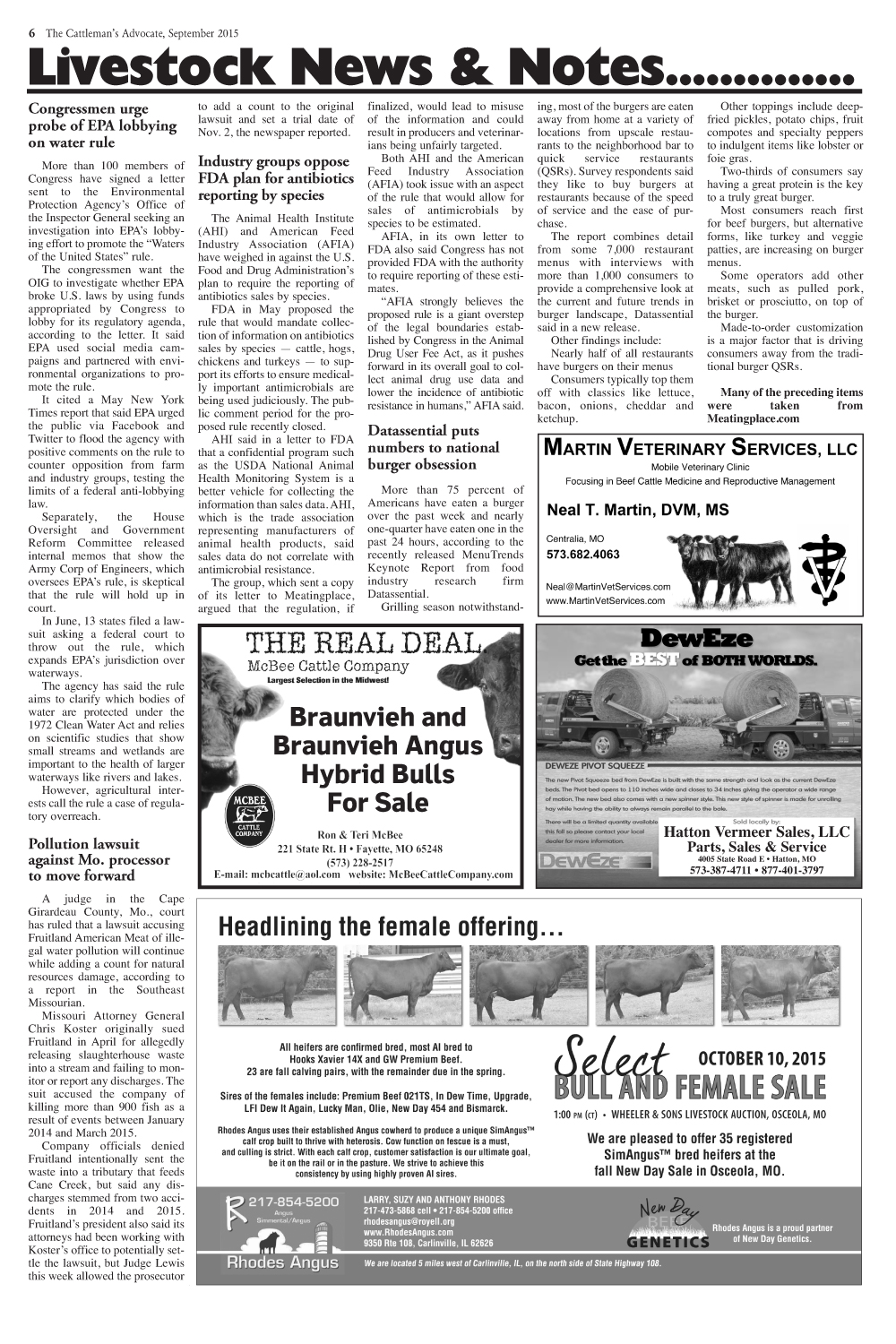 Page 6