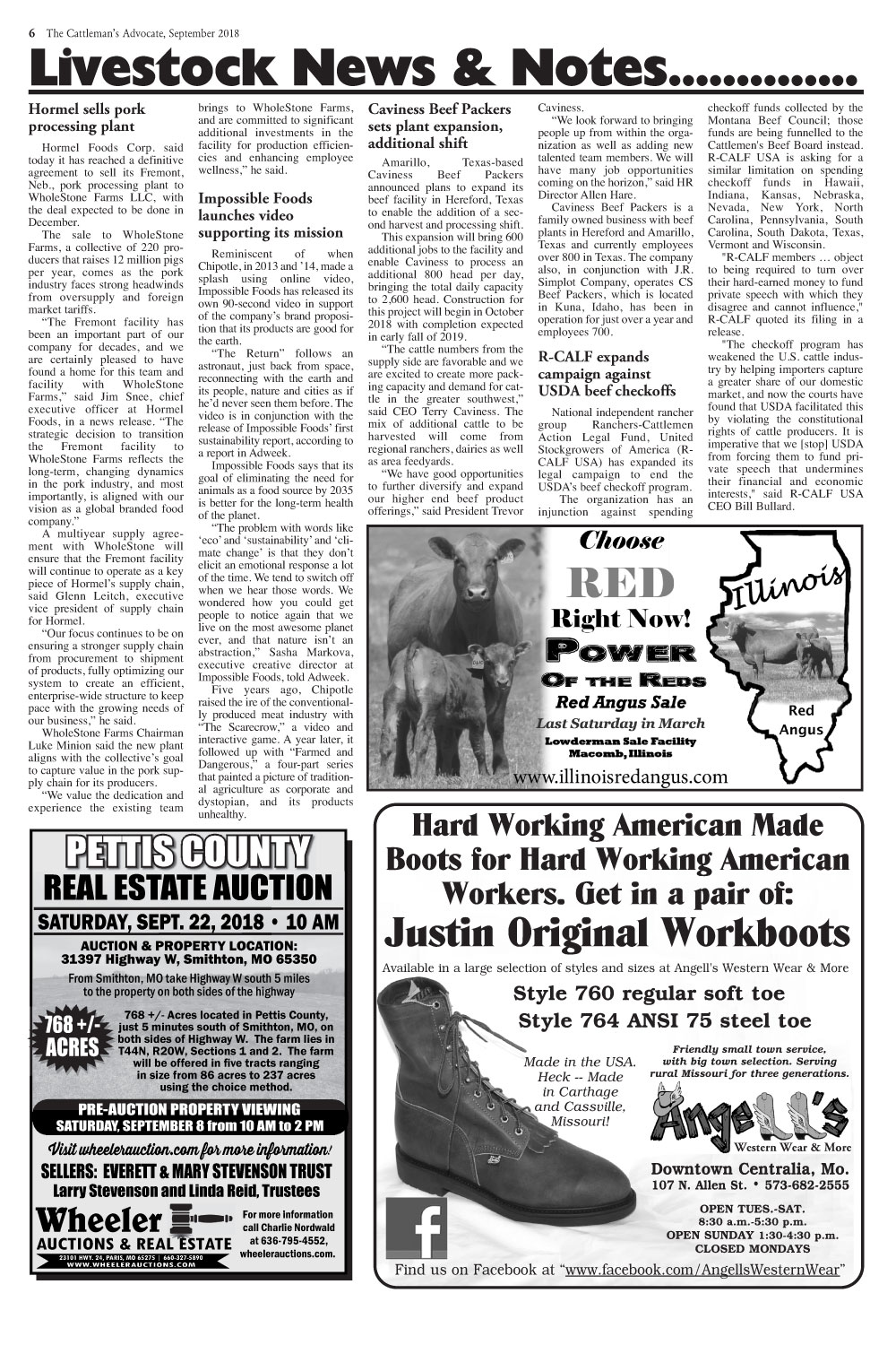 Page 6